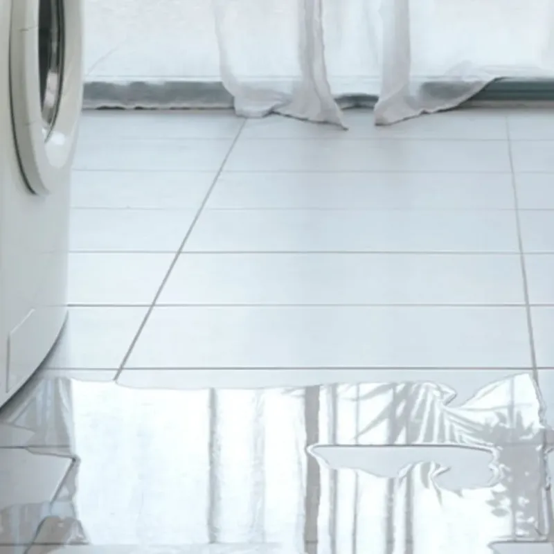 Appliance Leak Cleanup in Effingham, NH