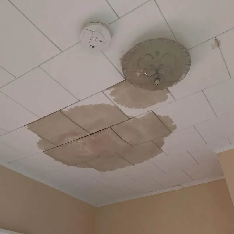 Ceiling Water Damage Repair in Effingham, NH
