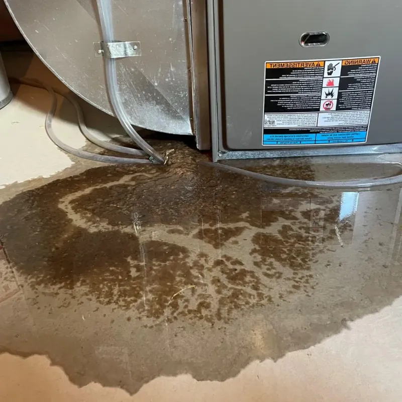 Pipe Burst and Leak Restoration in Effingham, NH